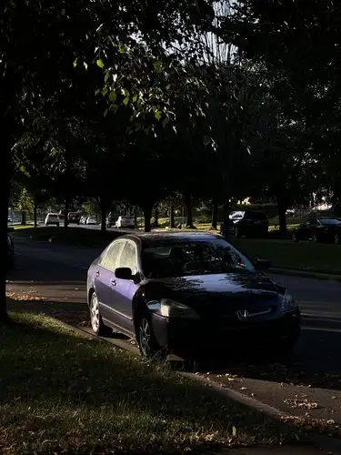 Sunlight and shadows dance on a peaceful street.